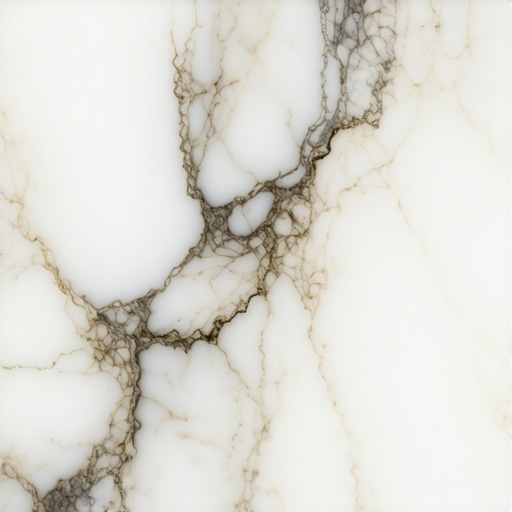 The Vinegar Myth: Why It Is Eating Your Stone Tiles